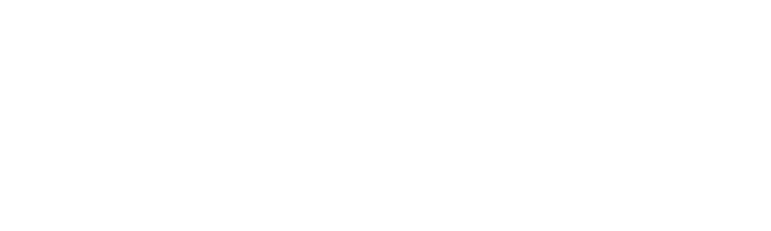 Logo de la empresa de desarrollo VAKANO STUDIO